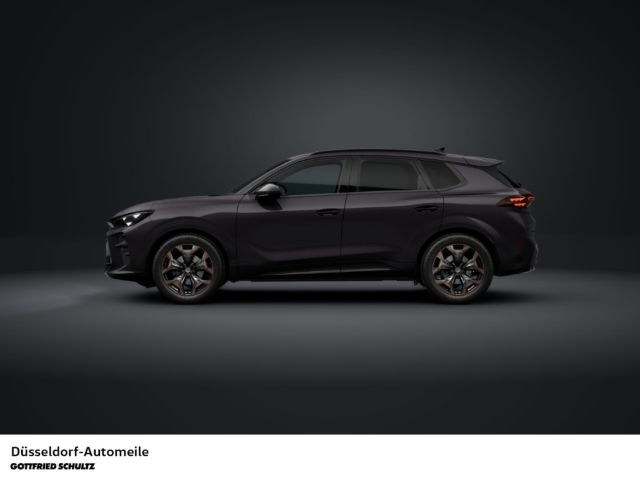 Cupra Terramar - Bild 4