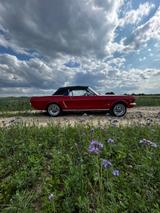 Ford Mustang - Ford Mustang aus 1965: Cabrio
