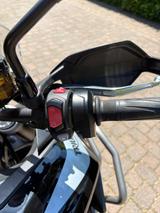 Triumph Tiger 900 GT Pro (11/2020) - TRIUMPH 900