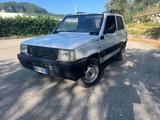 Fiat Panda 1100 i.e. cat 4x4 Trekking - gebrauchte Fiat Panda aus dem Jahr 2000