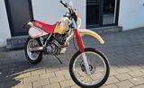 Yamaha TT600 X59 TOP ZUSTAND Inzahlungsnahme möglich - YAMAHA TT 600