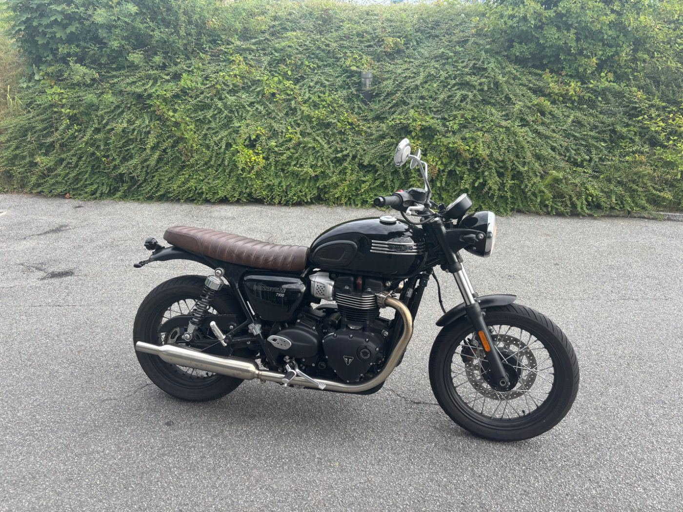 Fahrzeugabbildung Triumph Bonneville T 100 aus erster Hand