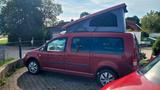 Volkswagen Caddy Maxi Life 7 Sitzer mit Reimo Schlafdach - 7 Sitzer Wohnwagen