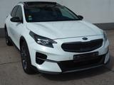 Kia XCeed Platinum Edition 1Hand Vollaussattung - Kia XCeed Platinum mit Diesel-Antrieb