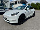 Tesla Model Y LR Dual Motor AWD *8-fach bereift*