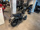 Honda DAX 125 ST 2025 Schwarz *Tageszulassung 12-25* - HONDA DAX 125