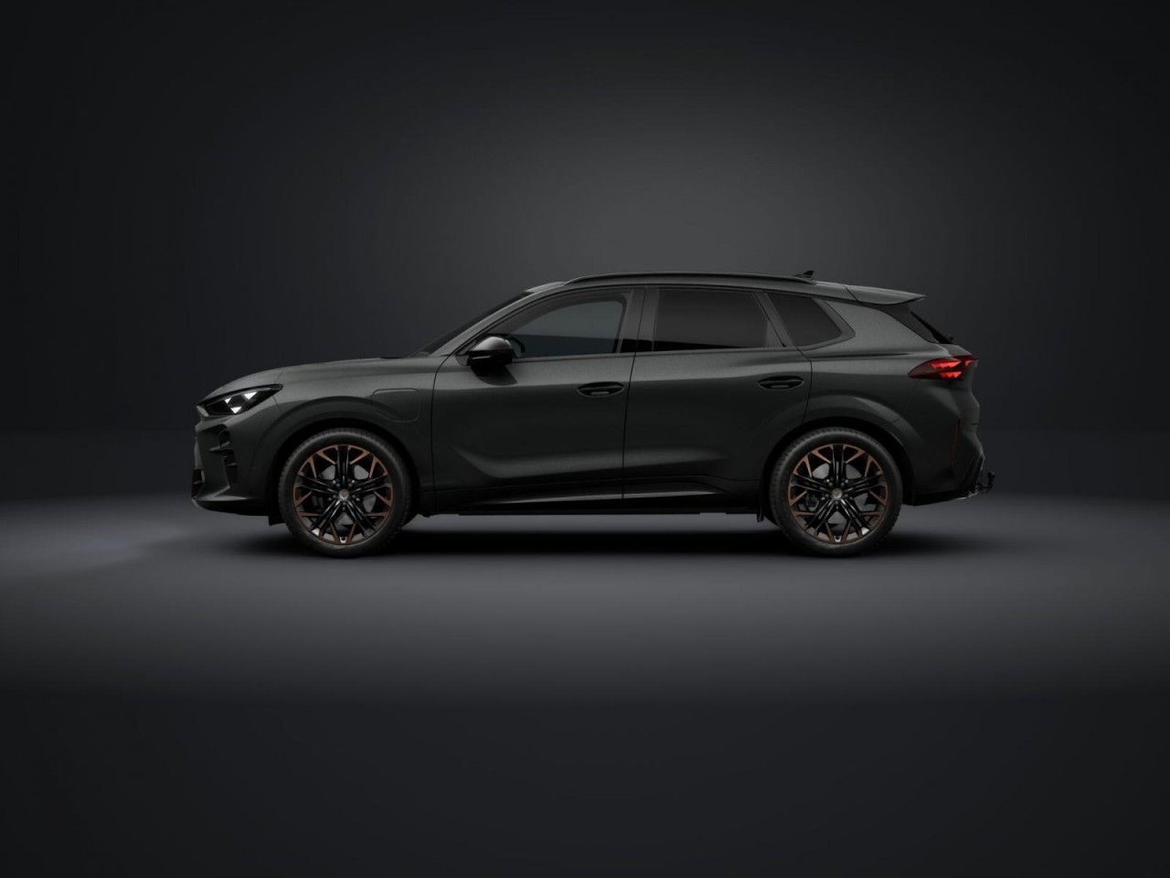 Cupra Terramar - Bild 2