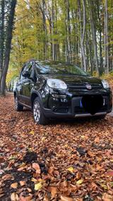 Fiat Panda 4x4 EZ 06/2017, gepflegt, Allrad & sparsam - Fiat Panda Gebrauchtwagen in Köln