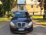 Lancia Ypsilon 1.2 Platino - Lancia Ypsilon aus 2010