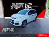 Fiat FIAT Panda Panda 0.9 t.air t. natural power Easy - Fiat Panda mit CNG-Antrieb