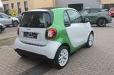 Smart EQ ForTwo greenflash passion Aut.*Sitzhzg*PDC* - Smart ForTwo: Passion