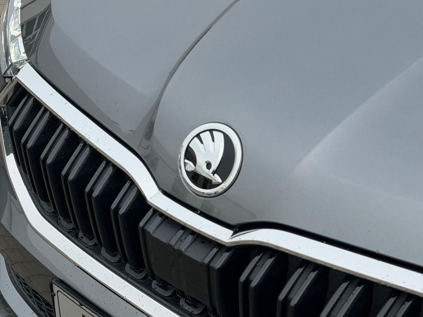 Fahrzeugabbildung SKODA Kamiq Selection