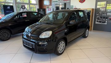 Fiat Pandina
