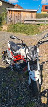 Benelli TNT Naked T 125 - BENELLI VON 81 BIS 125 CCM