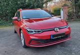 Volkswagen Golf 8 Variant 1.0 eTSI DSG IQ.Light - Volkswagen Golf mit Benzin-Antrieb: Kombi, 1.8