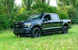 Ford F 150 Lariat Black MY25 5,0l SONDERAKTION DEZEMB - Ford F 150: Lariat