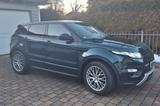 Land Rover Range Rover Evoque Dynamic 2.2 SD4 Automatik  - Land Rover: Sd4