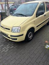 Fiat Panda - Fiat Panda in Ludwigshafen