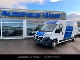 Fiat Ducato Grossr.-Kasten 35 130 L4H2 RS: 4035 mm - Fiat Ducato: L4h3