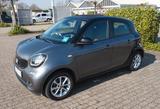 Smart fourfour Cabrio Panoramadach - graue Smart #1