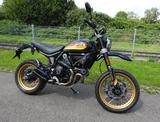 Ducati Scrambler 800 Desert Sled, TOP! - DUCATI SCRAMBLER