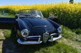 Alfa Romeo Giulia Spider 1600 - Alfa Romeo Spider in Dortmund