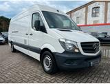 Mercedes-Benz Sprinter II Kasten  MAXI/PDC/HU&AU NEU - Mercedes-Benz Sprinter: Maxi