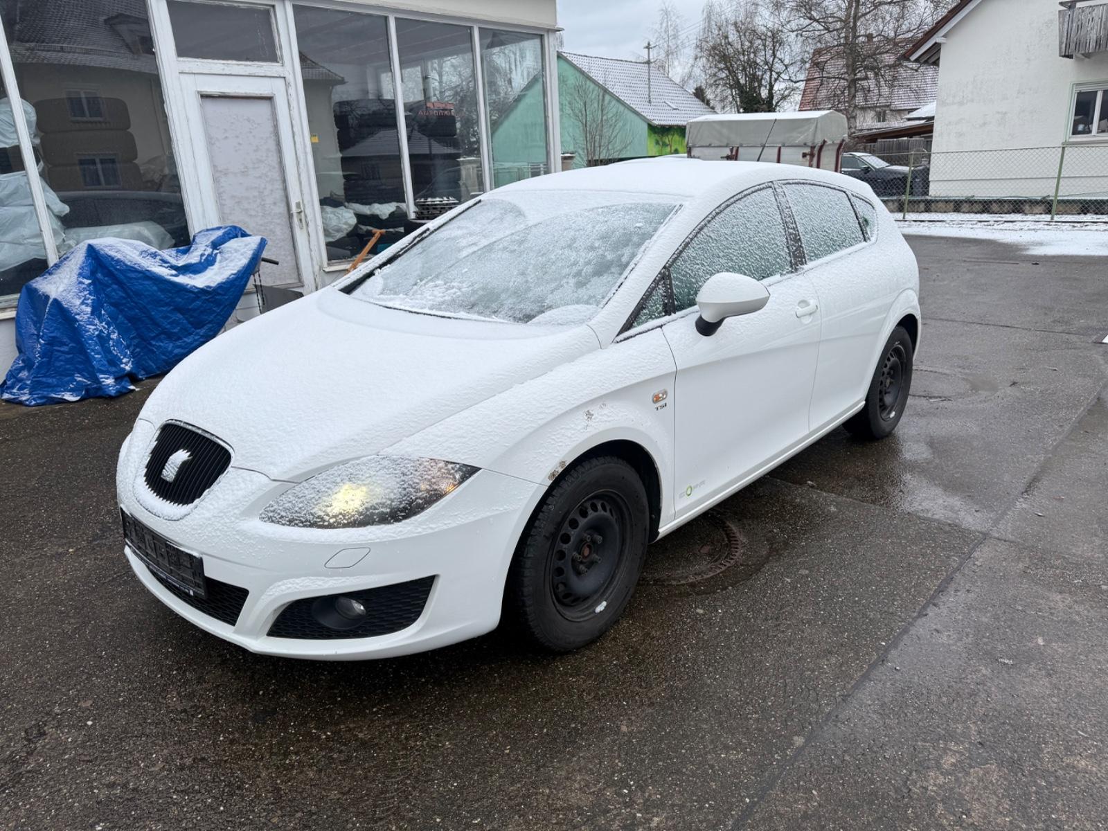 Seat Leon Style Copa Ecomotive