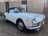 Alfa Romeo Giulia Spider - Alfa Romeo Giulia: Cabrio