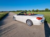 BMW 428i xDrive Cabrio Luxury Line Automatic Lux... - : Privatanbieter, Auto