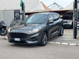 Ford Kuga 1.5 EcoBlue 120cv ST-Line - 2021 - Ford Kuga: Van