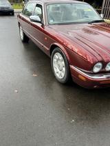 Jaguar Daimler Super V8 Super V8 - Jaguar Daimler Oldtimer