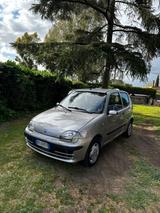 Fiat Seicento 1.1i cat SX - gebrauchte Fiat Seicento aus dem Jahr 2002