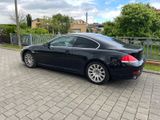 BMW 650i Coupé - - BMW aus 2007: Sportwagen