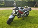 Suzuki Gladius - Offers matching your search criteria