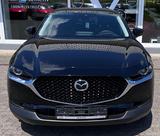 Mazda CX-30 150PS SELECTION DES-P PRE-P E-HECKKLAPPE 3 - Mazda Tageszulassungen