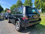 Land Rover Freelander 2 SE TD4*AHK* - Land Rover Freelander Gebrauchtwagen