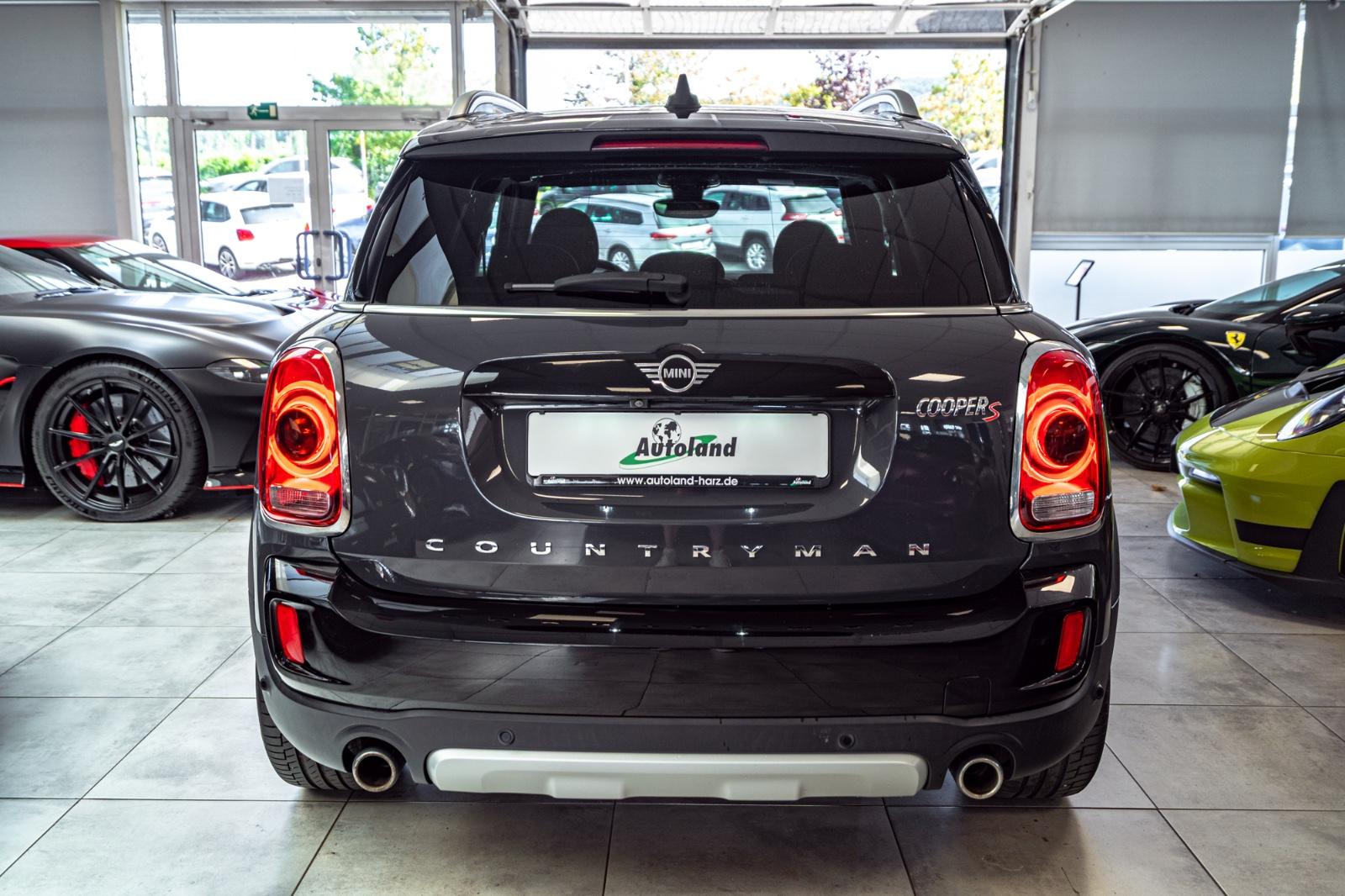 MINI Mini Cooper S Countryman*PEPPER*LED*NAVI*19""*TO