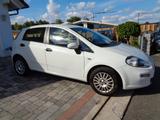 Fiat Punto Pop Street, Klima, eFh,  Euro 6, 75500 km - Fiat Punto: Street