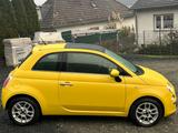 Fiat 500Lounge 1.3 klima pano Tony fassina EURO5 - Fiat 500: 3.1