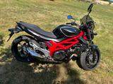 Suzuki SFV  650 Gladius - Offers