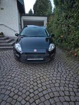Fiat punto 2014 1.2L Benziner Neue TÜV Euro 6 - Fiat Punto in Wuppertal