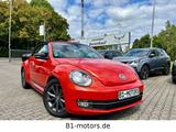 Volkswagen Beetle Cabriolet Club BMT*Design Paket* 68TKM*** - Volkswagen Beetle: Club
