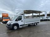 Fiat Ducato/Verkaufswagen mit Ausbau/Klima/3-Sitzer - Fiat Ducato verkaufswagen