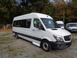 Mercedes-Benz Sprinter 313  CDI MAXI; HOCH+LANG; GROßE KLIMA - Mercedes-Benz Sprinter: Maxi Lang