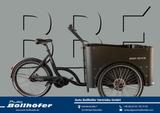 Andere BBF E-LASTENRAD eCargoRider 3.2 *SALE* VORFÜHRRA - E-Lastenräder