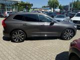 Volvo XC60 T8 AWD Plus Bright Adaptives Luftfahrwerk - Volvo XC60: Leder