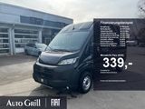 Fiat Ducato 33 L2H2 TürenVerglast Heckflügeltür