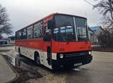 Ikarus 256.74 - Ikarus LKWs