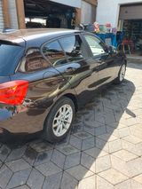 BMW 116i - - BMW 1er Reihe: Braun